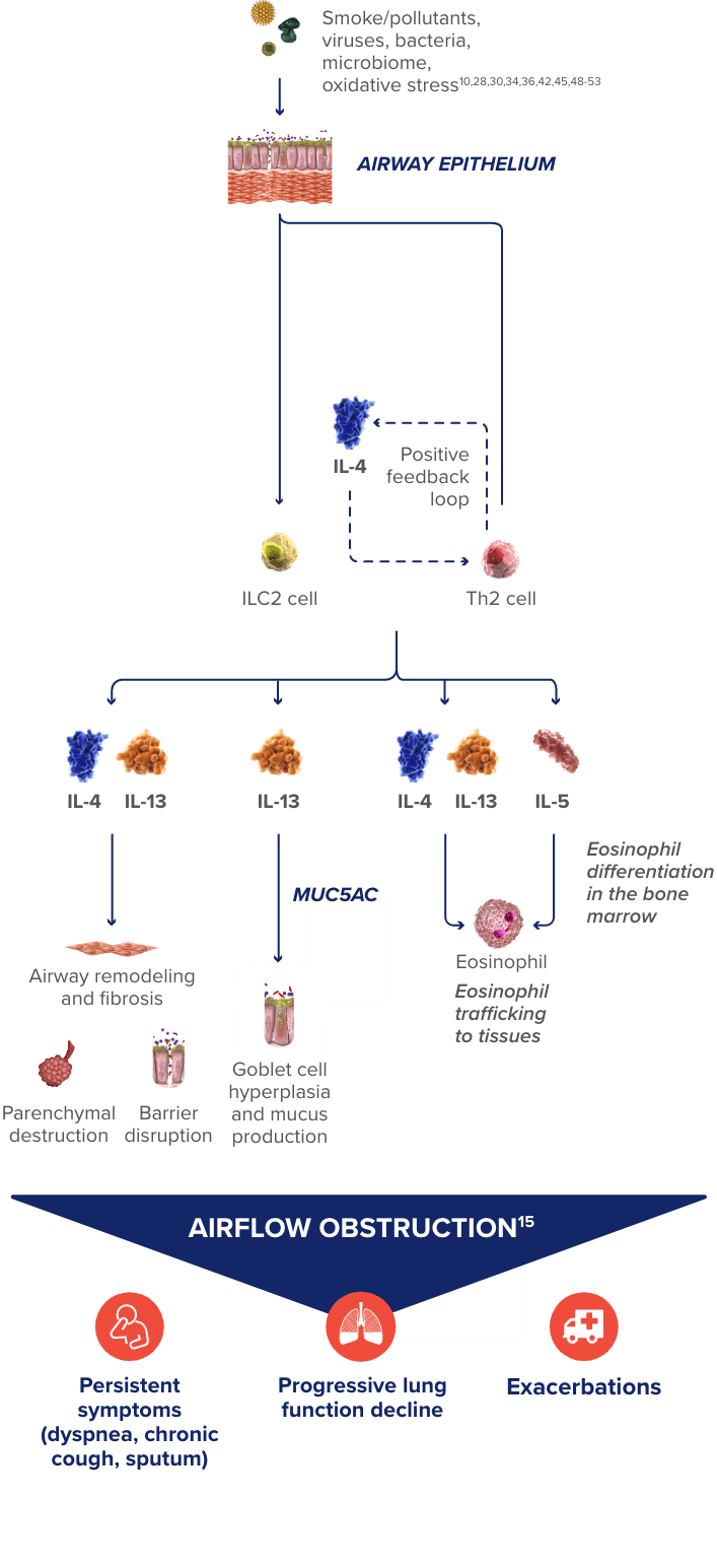 moa chart