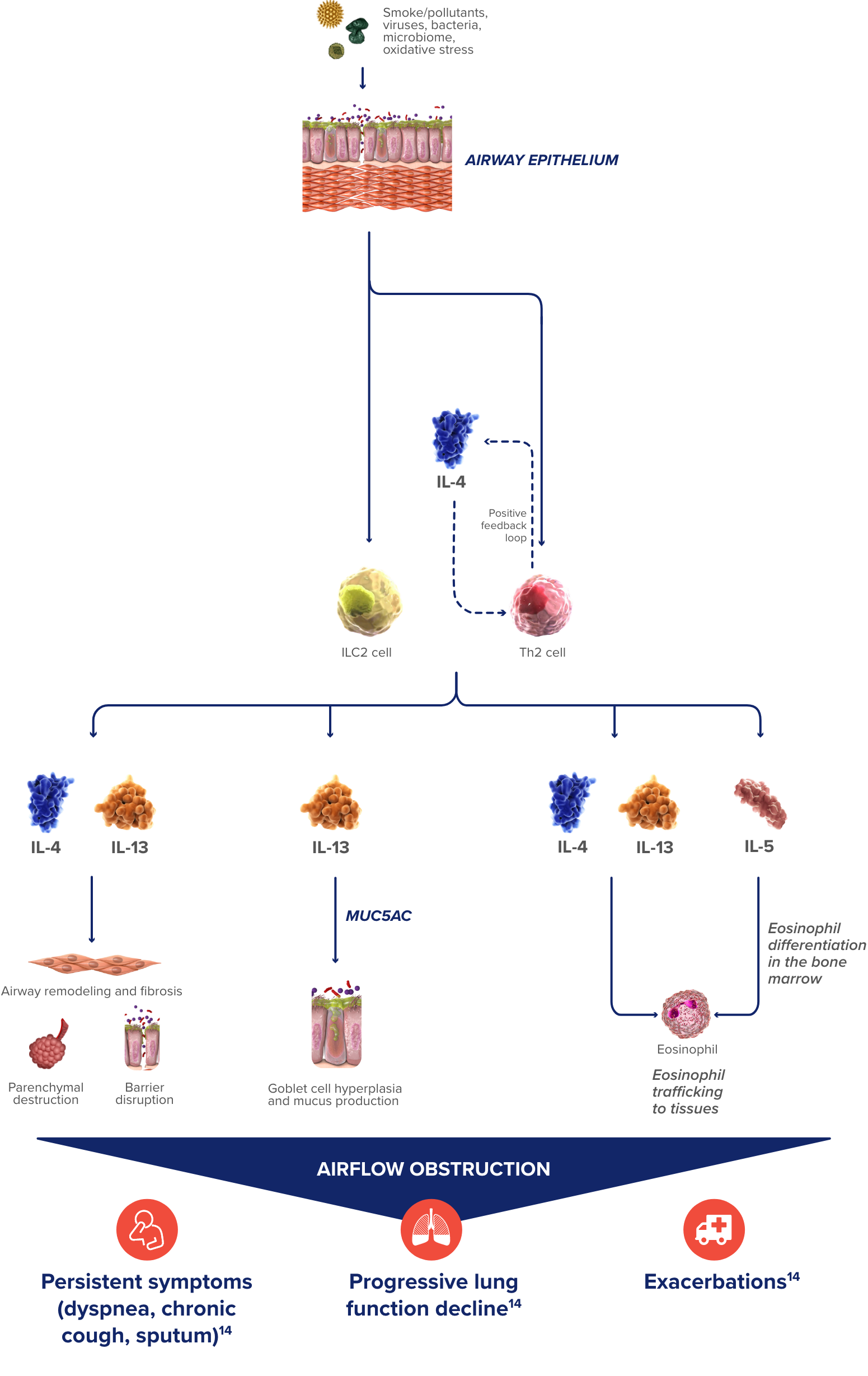 moa chart