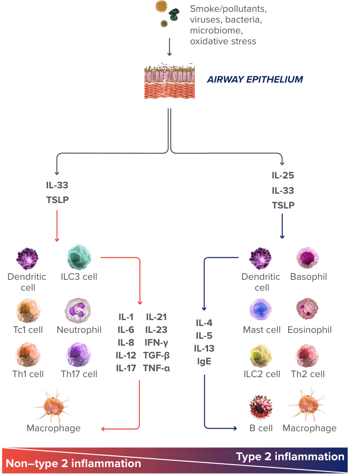 moa chart