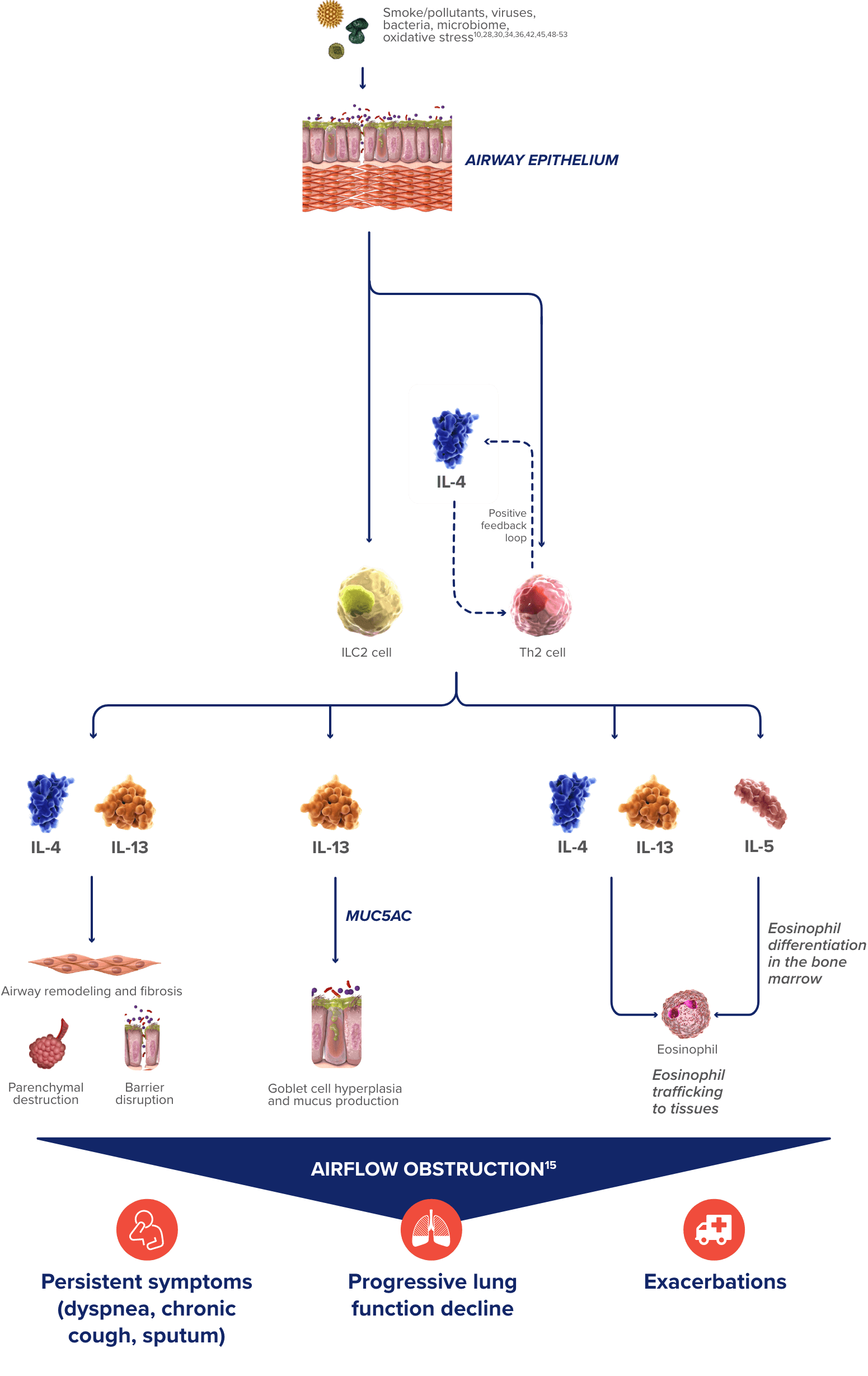 moa chart